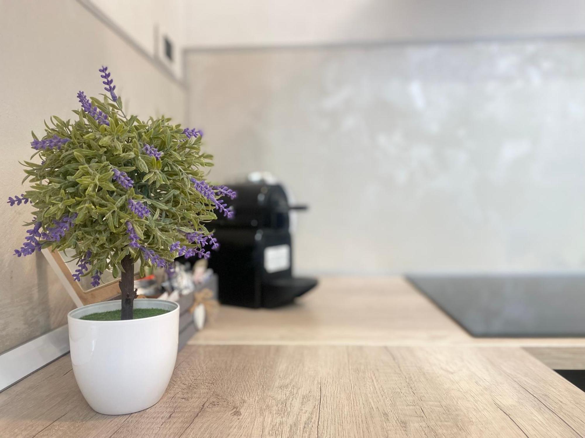 Mazzini 12 Very Central Apartment With Private Garage, Air Conditioning, Wifi, Just 50 Meters From The Beach Rapallo Eksteriør bilde